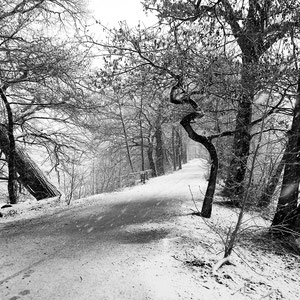 Winter
