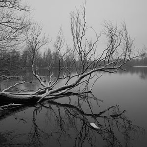 Still ruht der See