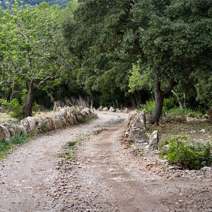 Mallorca