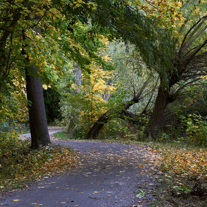 Herbst