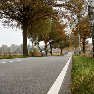 irgendwo in der Heide
