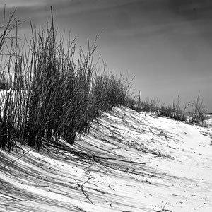 An der Nordsee