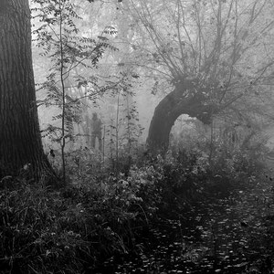 Nebel