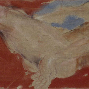 Etude d’après Brook Labrenz, 2005, pastel et colle de peau colorée, 50 x 150 cm, Collection particulière, France. 