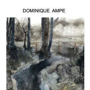 Dominique Ampe