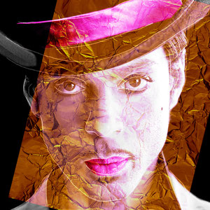 PRINCE, 75 x 100 cm, Digital Pop-Art auf Leinwand, Seriegrafie in limitierter Auflage und unterschiedlichen Farbgebungen, Original signiert, Verschiedene Formate / Preise auf Anfrage