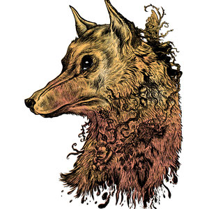 Golden Wolf for And The Traveler Band. Pen & Ink on bristol and digital paint. 
