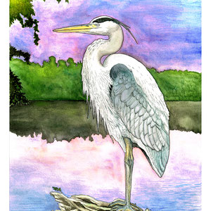 "Heron on North Pond" Watercolor, gouache, and ink. Gift for family.