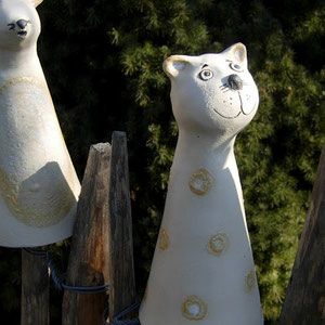 Zum Shop - Zaunkatze