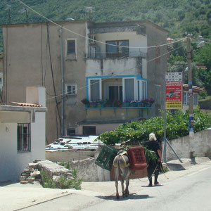 Transportmittel