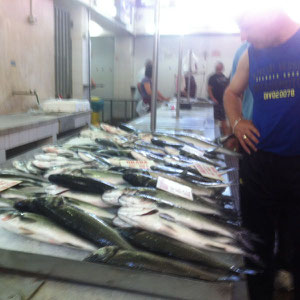 Fischmarkt in Zadar