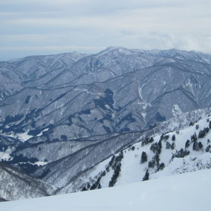 正面に猿が馬場山、麓に白川郷