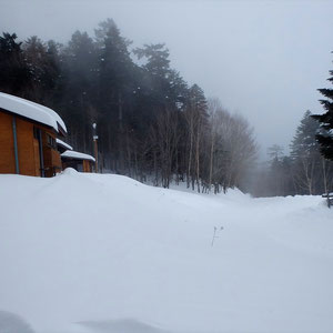 大平山荘横。夏に南アルプス林道バスが走る道も雪だらけ。