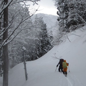 林道の向こうに帰雲山