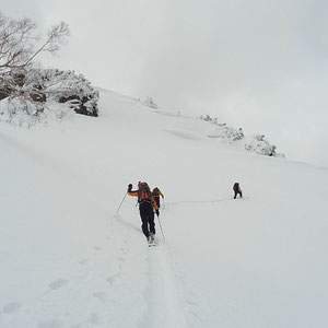 山頂をまいてトラバース