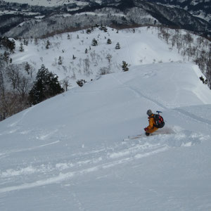 上部はいい雪が：Ｙ森