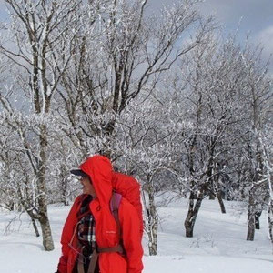 山頂からの景色を楽しみました