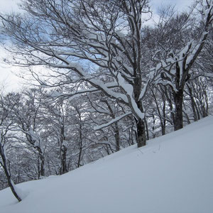早く滑りたい斜面