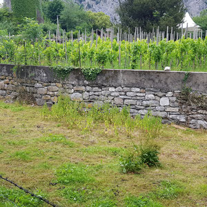 Kirchgemeinde Wimmis, Sanierung Bruchsteinmauer, André Iseli Steinmetz, Wimmis