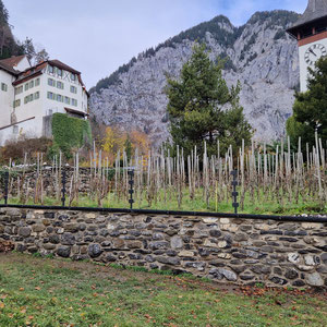 Kirchgemeinde Wimmis, Sanierung Bruchsteinmauer, André Iseli Steinmetz, Wimmis