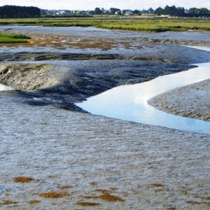 Raid Golfe Morbihan - AU BOUT DES PIEDS