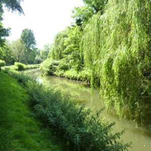 Ceinture verte d'Ile de France : l'Yvette à Palaiseau - Au Bout des Pieds