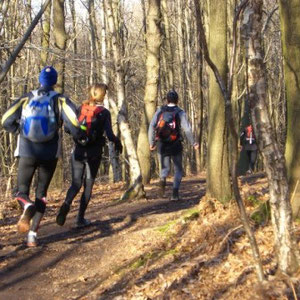 Paris écoTrail  - AU BOUT DES PIEDS