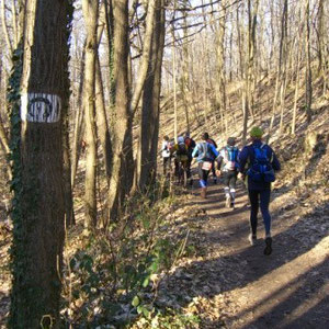 Paris écoTrail  - AU BOUT DES PIEDS