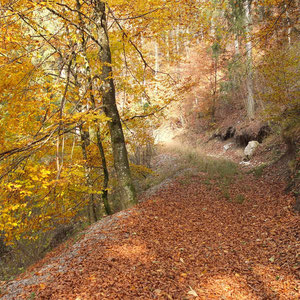 Kössen Hagertal (Kaiserwinkl in Tirol)