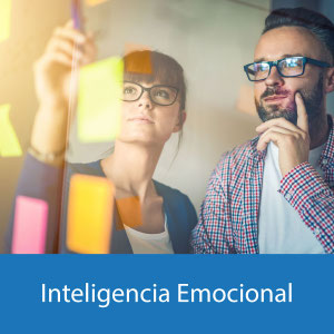Inteligencia Emocional en las Organizaciones
