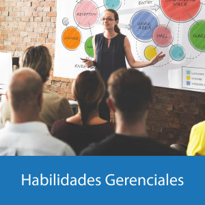 habilidades gerenciales