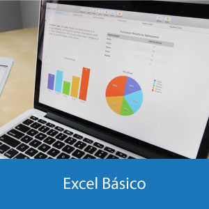 Excel basico
