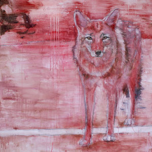 Coyote 140x120 cm Oil/Canvas 2012