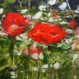 Poppies 3 50x60 Oil/Canvas 2014