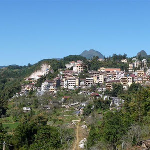 Sapa