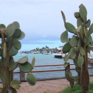 Puerto Ayora