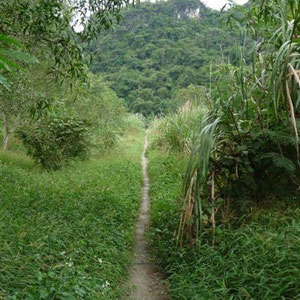 Cat Ba Nationalpark