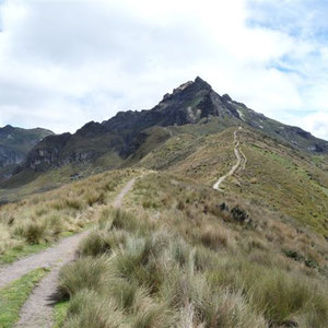 Das Ziel ... der Volcan Pichincha!