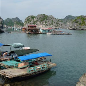 Hafen in Cat Ba