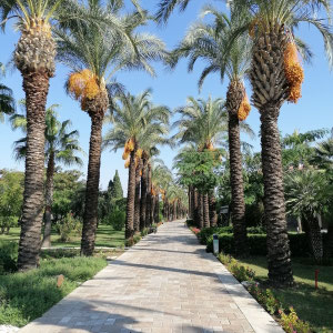 Hotel TUI Blue Palm Garden, Garten, Manavgat Türkei