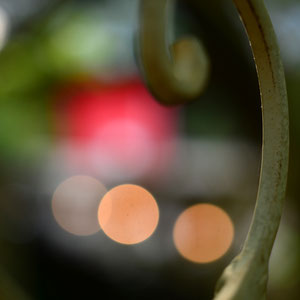 Contemporary　＠写真：水谷　諭