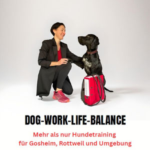 Dog-Work-Life-Balance