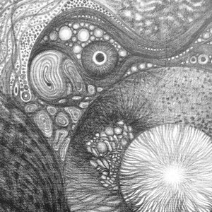 Totem circulaire 03 - F'Chasta