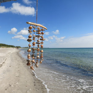 Muschelwindspiel aus hellbraunem Treibholz und dazu passenden braunen Muscheln.