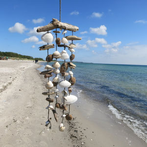 Muschelwindspiel aus weißen Muscheln und dunkelbraunen Treibhölzern.