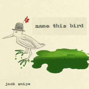Jack Snipe - Name this bird