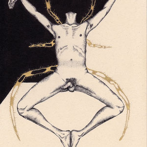 figurative-spider / ink on paper / 18cm x 24cm / 2015
