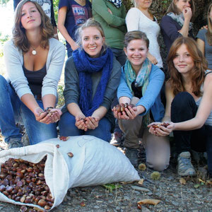 Elles ont ramassé une trentaine de kilos de châtaigne qui seront transformées en une dizaine de kilos de farine au moulin des frères Vincensini de San Lorenzo