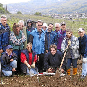 Helfer im Weinberg