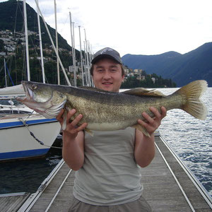 Avatar - perca 6 kg sempre nel Lago di Lugano - 2010